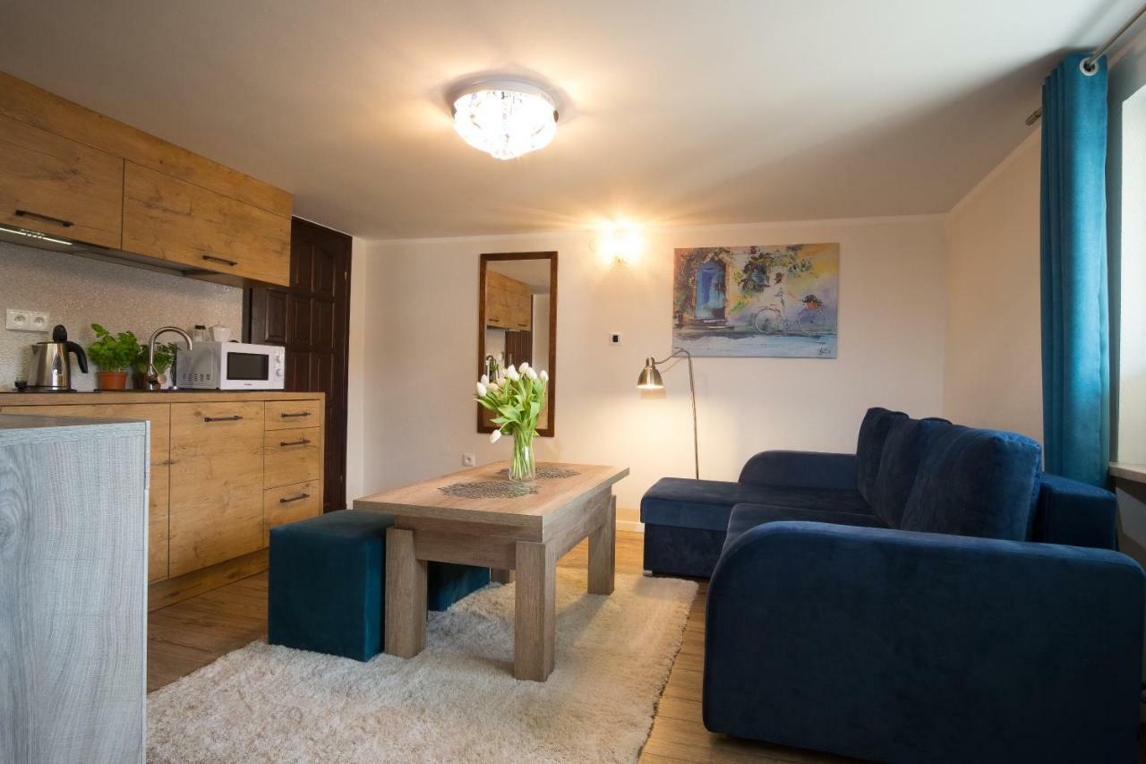 Apartamenty Ciche Wzgorze Закопане Екстериор снимка